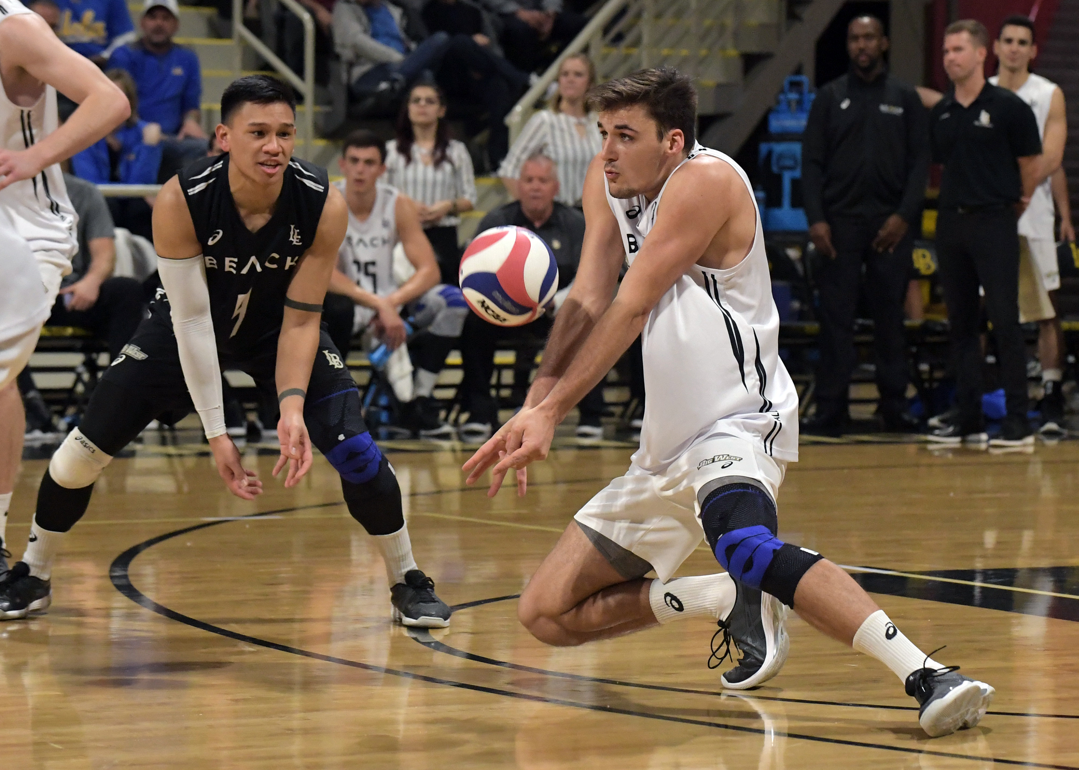 PHOTOS Long Beach State vs. UCLA NCAA Volleyball