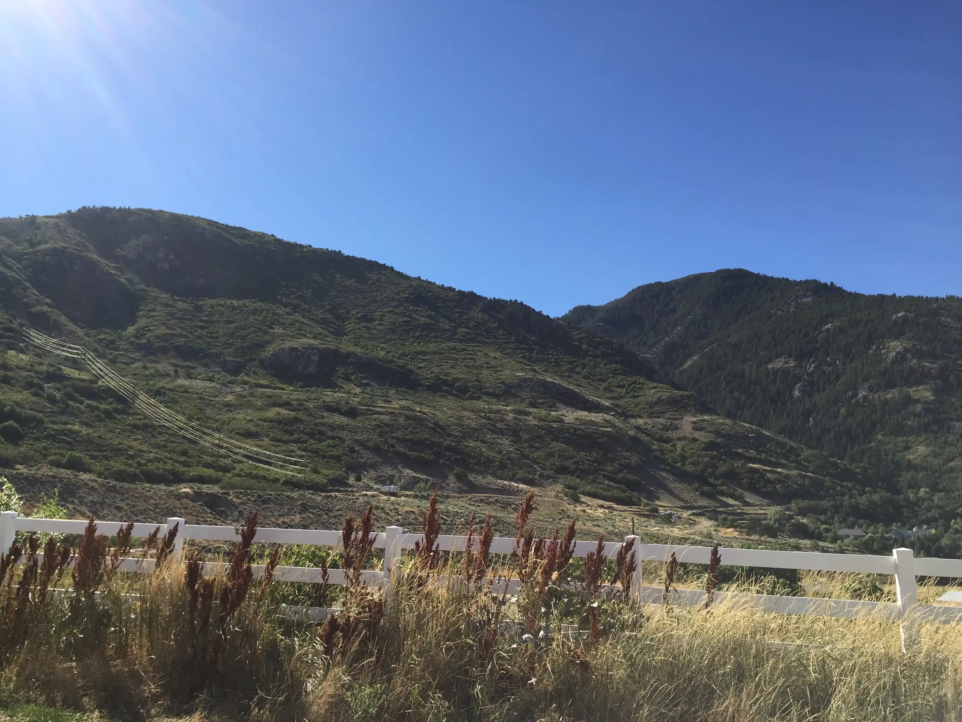 1423 E 2925 N Ogden, Utah Hall Tree Lot For Sale Mountain Luxury