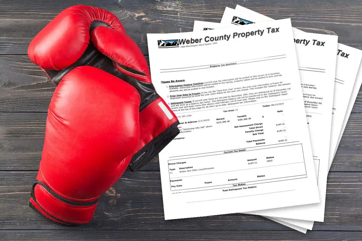 How to Appeal er County Property Taxes Mountain Luxury