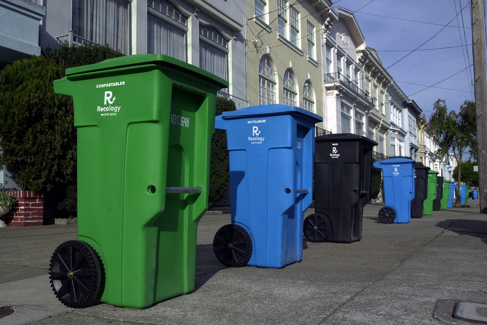 Can You Put Your Bins On The Road at Gertrude Jackson blog