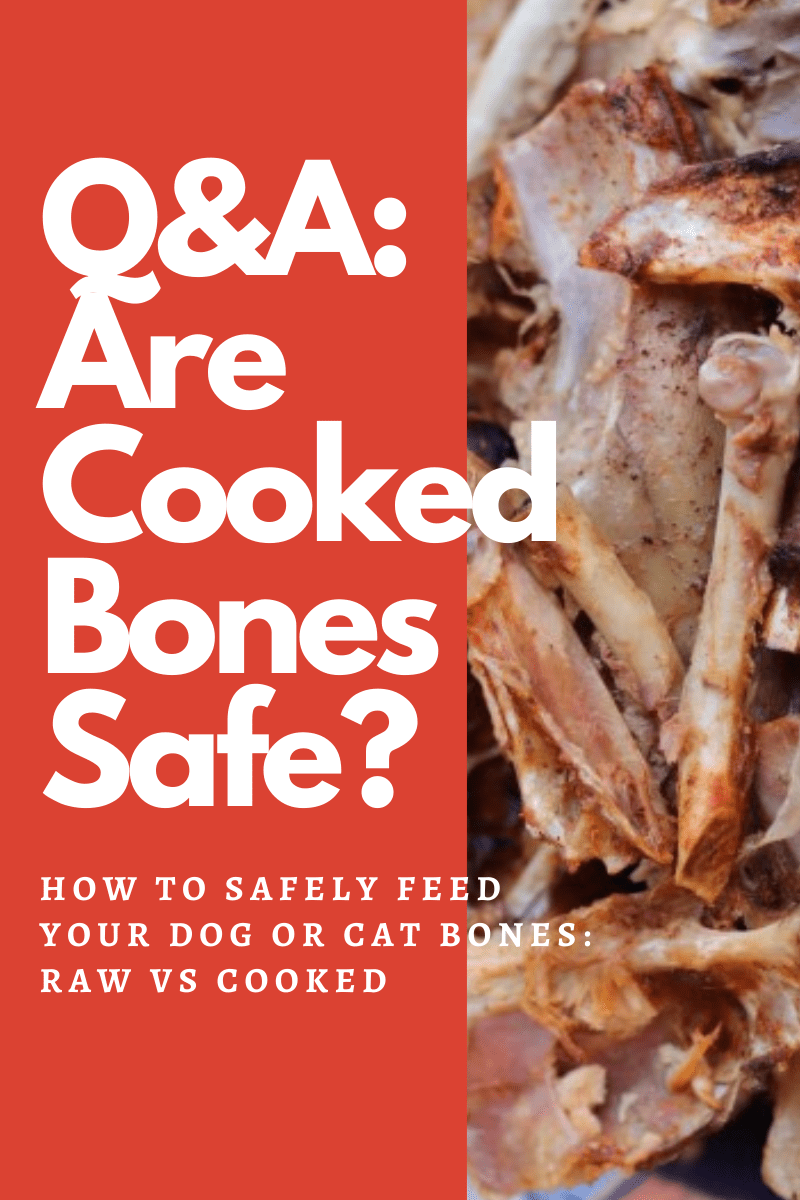 Are Chicken Bones Bad For Your Dog