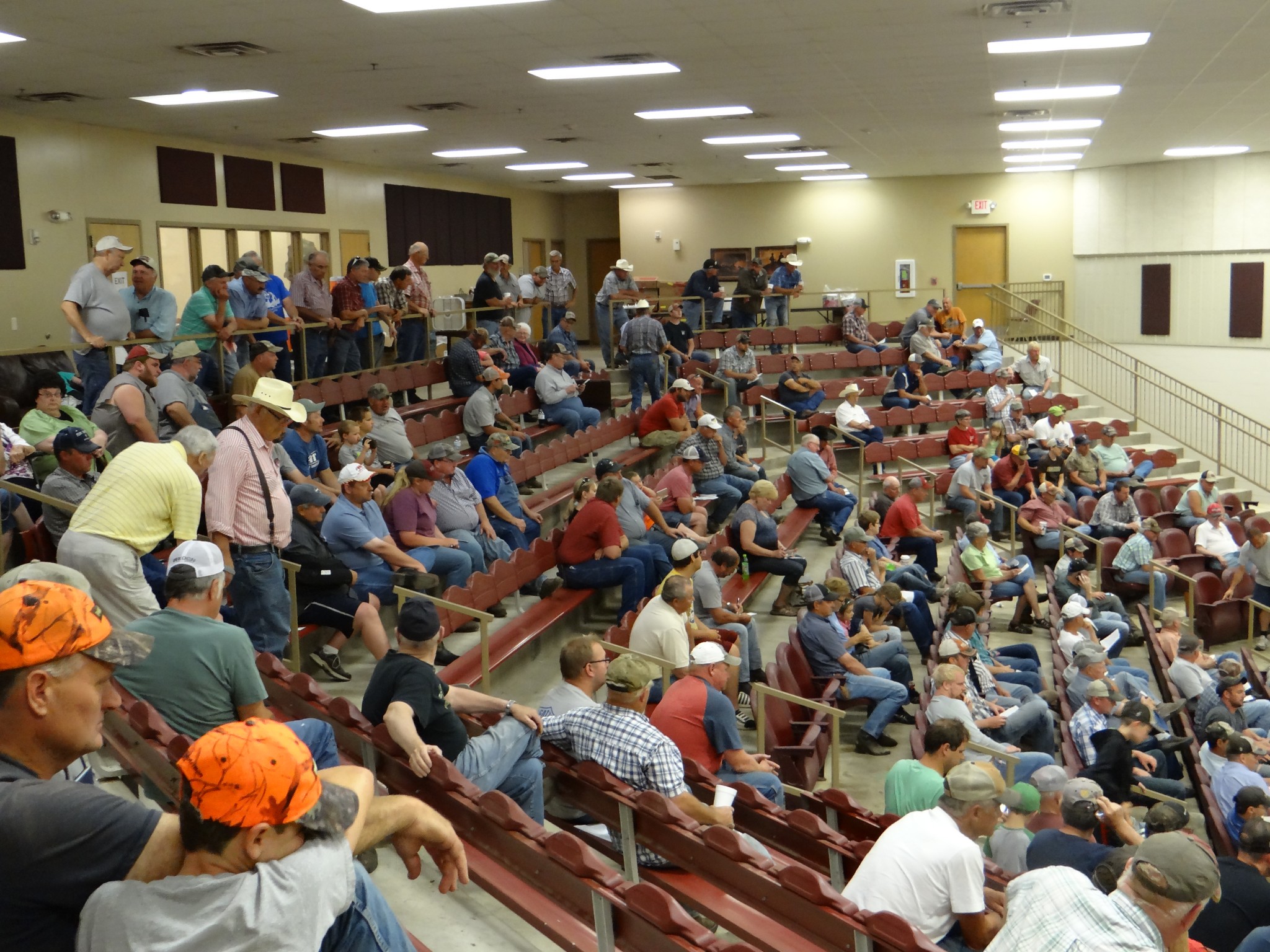 crowd Sioux Falls Regional Livestock