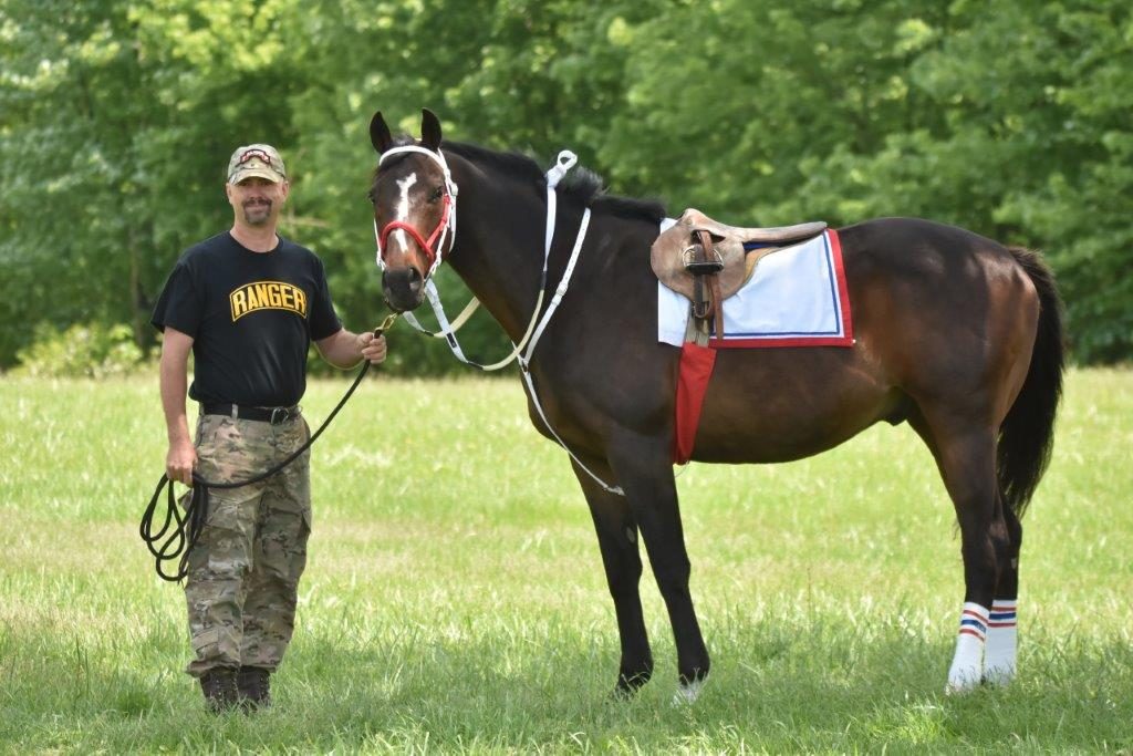 Equine Therapy for Veterans with PTSD and TBI SFTT