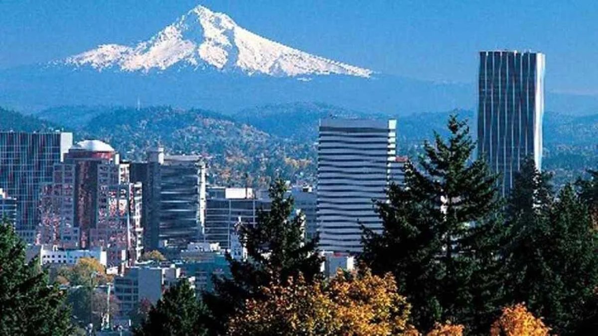 Best Places with Amazing Views You Can Visit in Portland Sfuncube