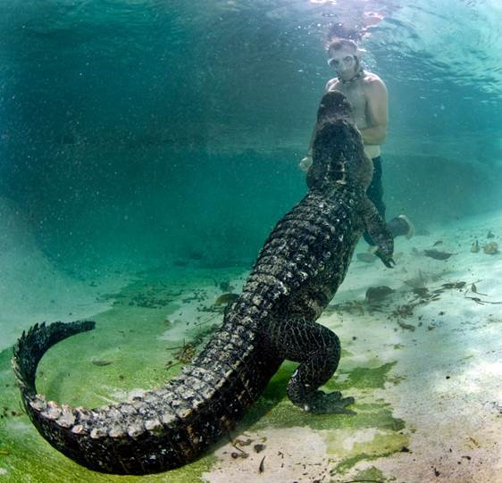 South Florida Underwater Photography Society FEBRUARY 2016 SPEAKER