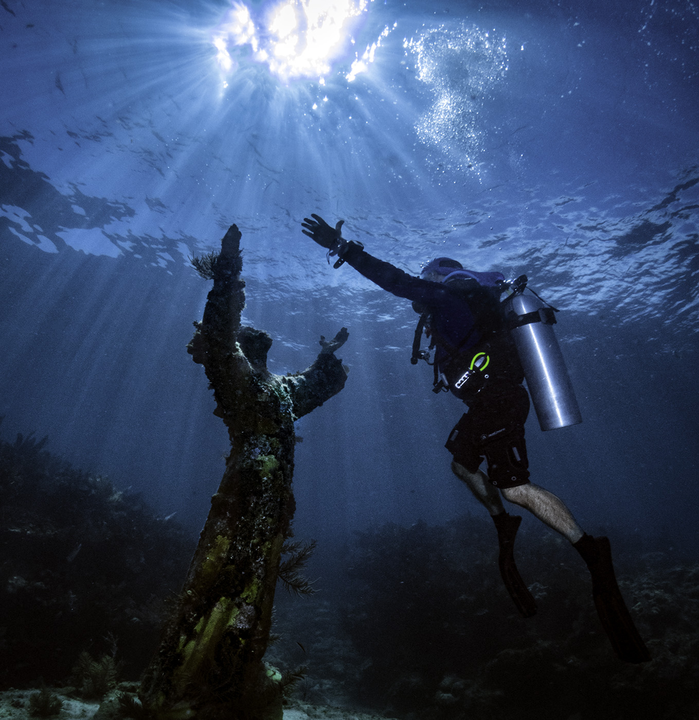 Trinity South Florida Underwater Photography Society