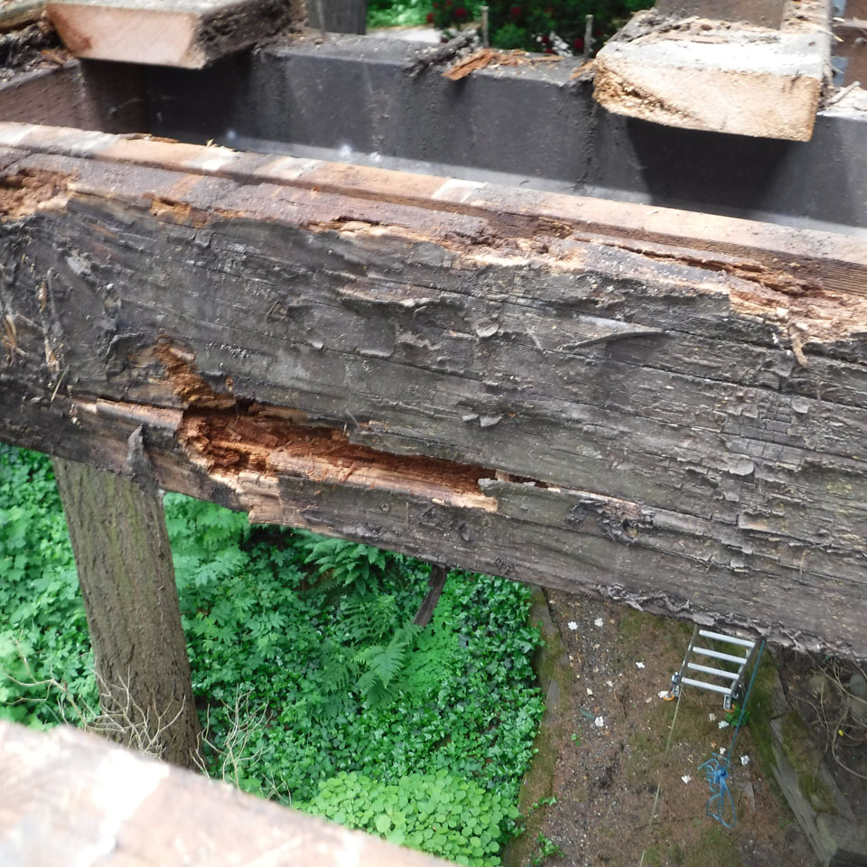 Bothell Dry Rot Repair Company SFW Construction, LLC