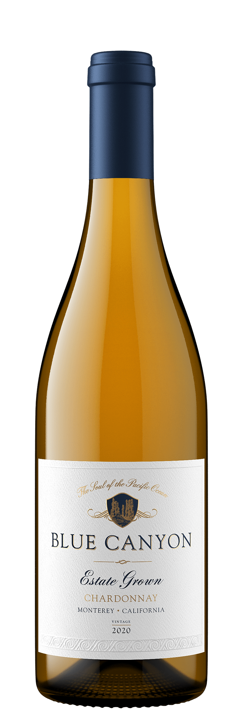 Blue Canyon SFW Media