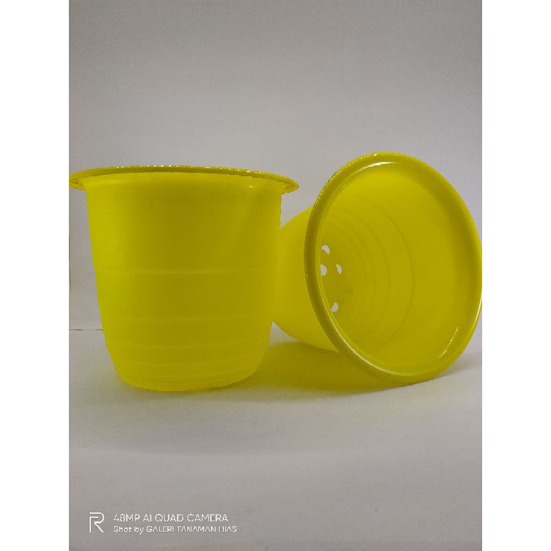 Jual kotak kotak kuning Terbaru | Lazada.co.id