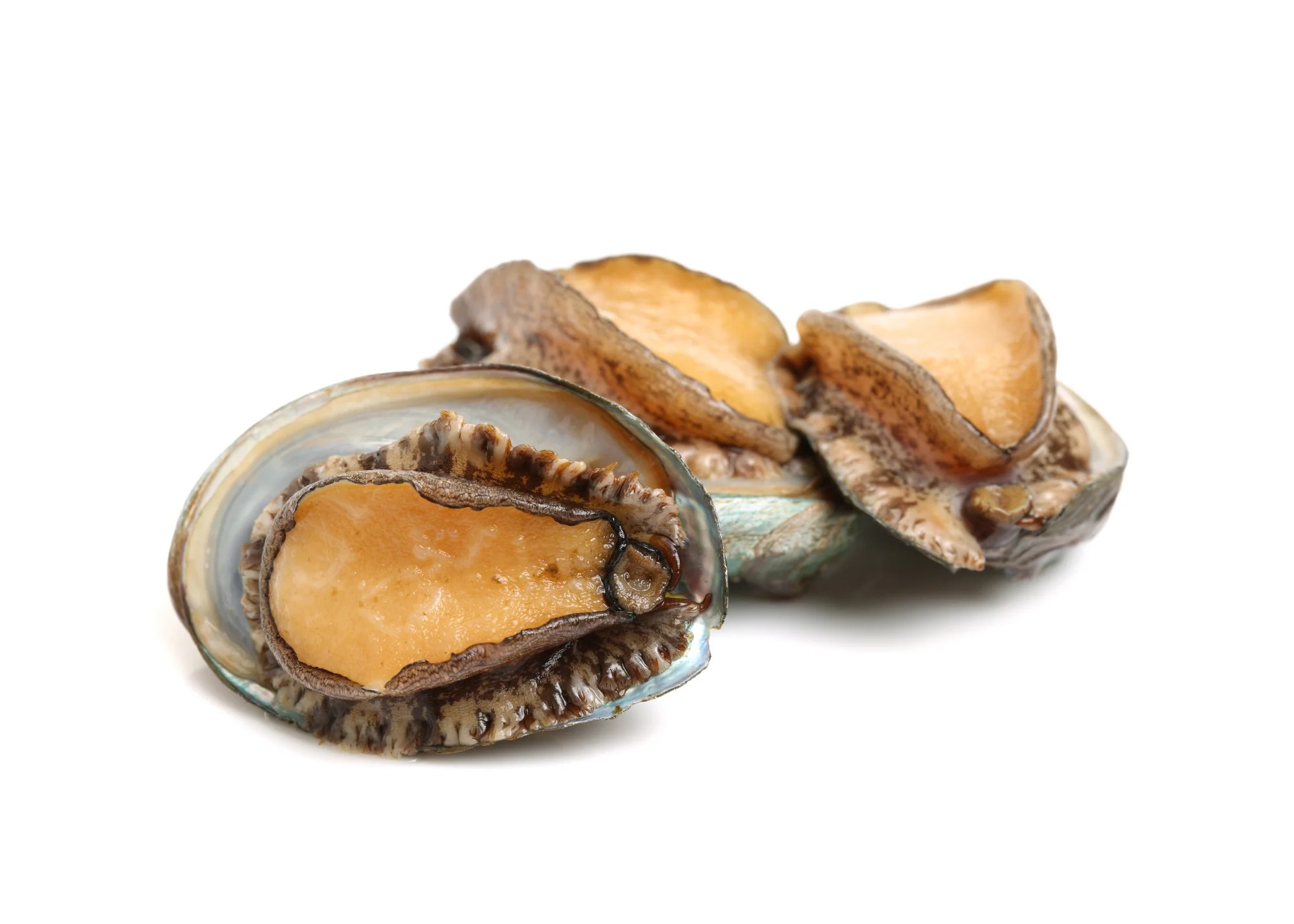 Imperial Braised Japanese Abalone With Scallop 2’s Kinohimitsu Singapore