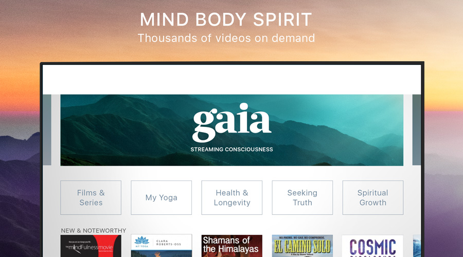 Gaia Sees Q2 Loss PostGaiam Sale SGB Media Online