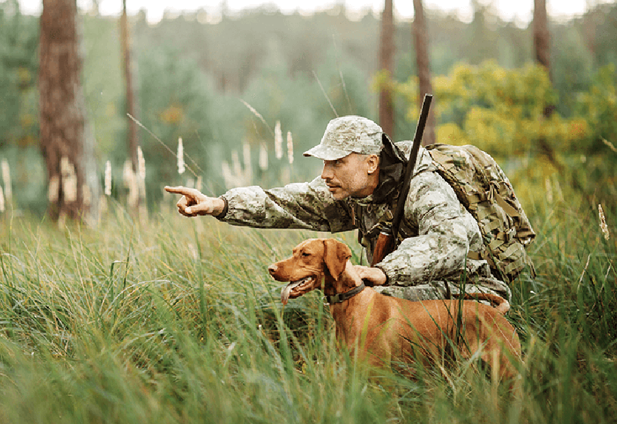 Sportsman’s Warehouse Adeptly Seizing Firearms Opportunities SGB