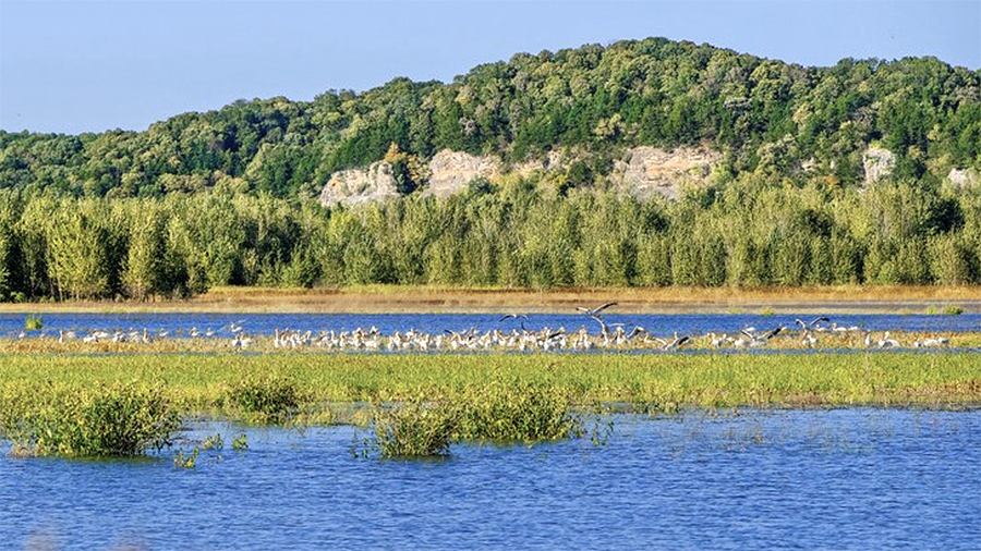 EXEC American Outdoor Brands Execs Detail Fiscal First Quarter