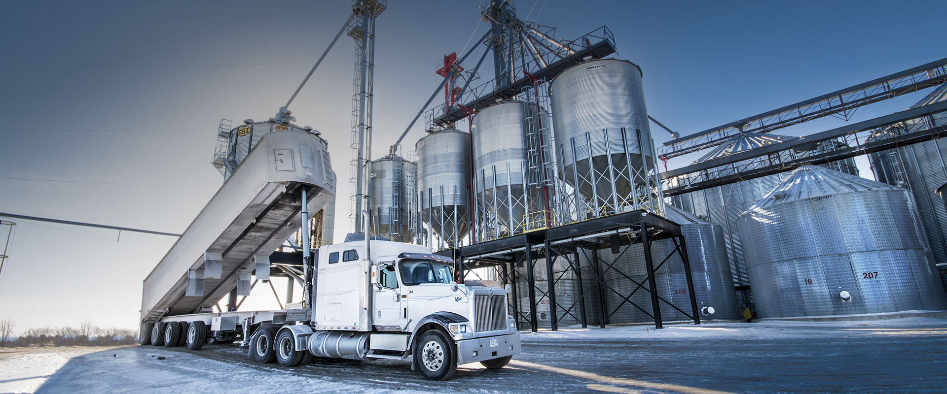 Ceresco Services for soybean producers and buyers