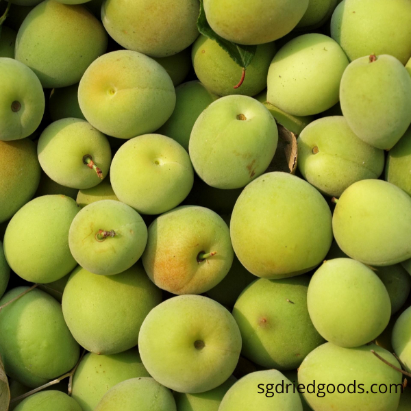 Salted Plum Shantou Salted Plum Salted Sour Plum SG Dried Goods