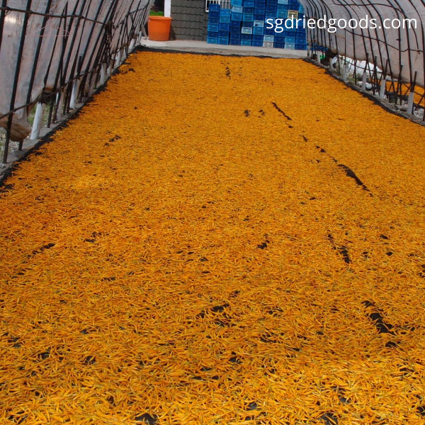 Dried Lily Flower Dried Lily Buds 金针花 SG Dried Goods