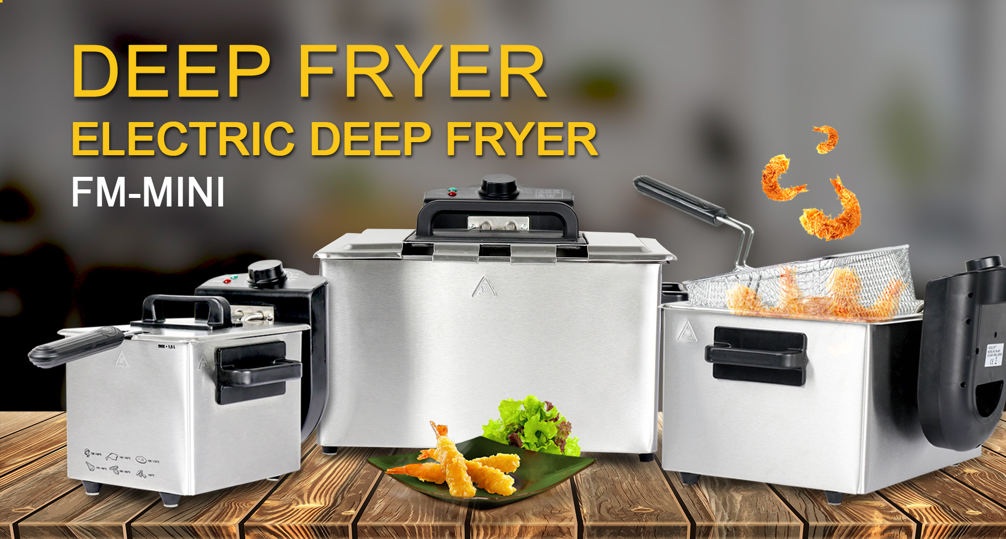 Deep Fryer (3L/5L) SGE Singapore