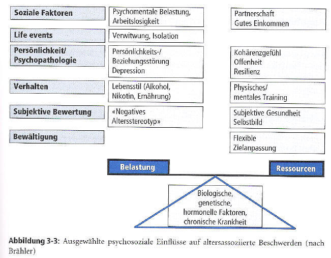 Grundwissen Medizin des Alterns
