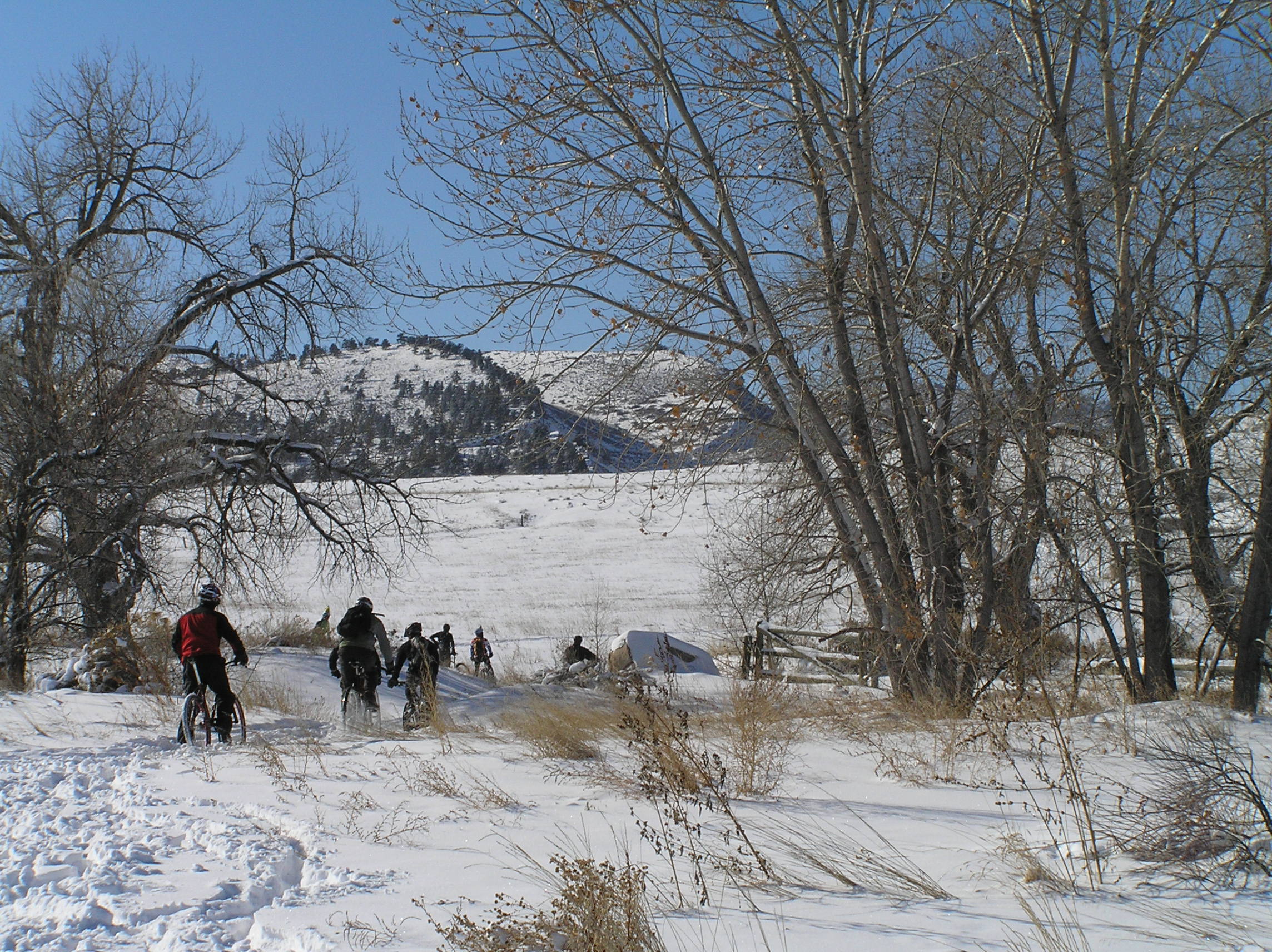Grinch Grinder Riding Home