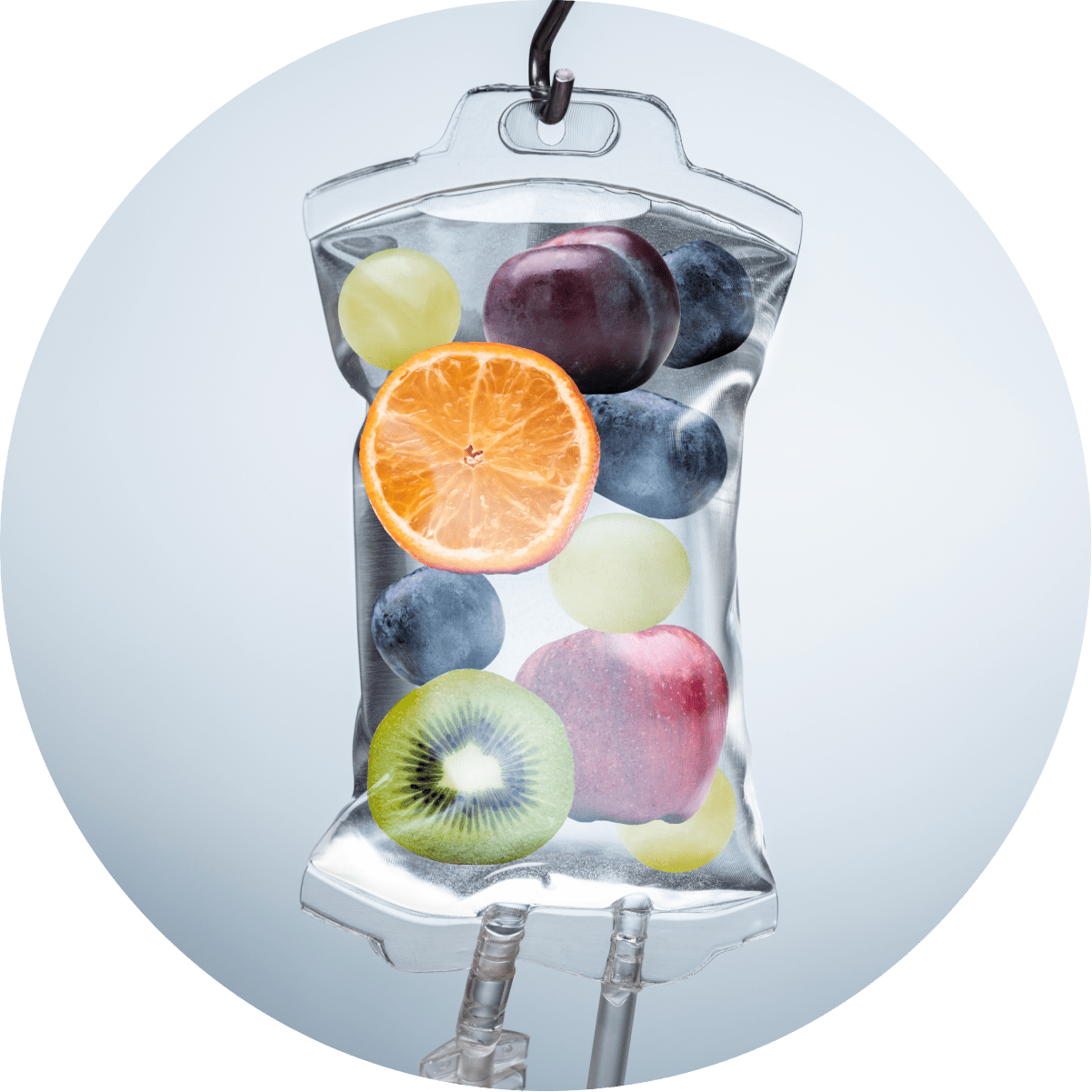 Blenderized Diet IMM by BDMS