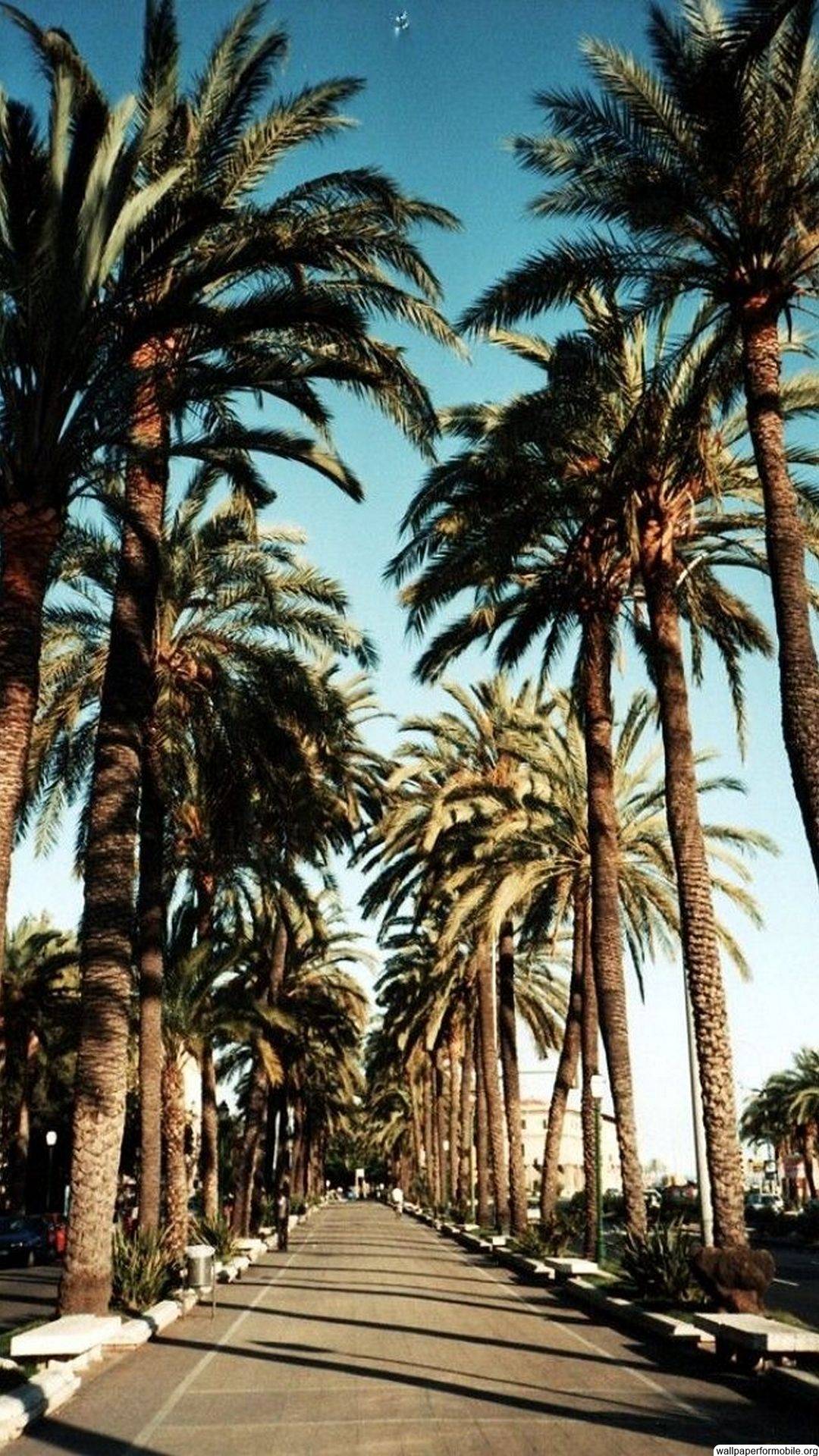 Guru Support iPhone Wallpapers