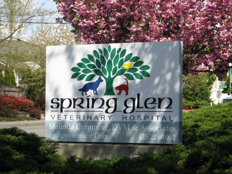 About Us Spring Glen Veterinary Hospital