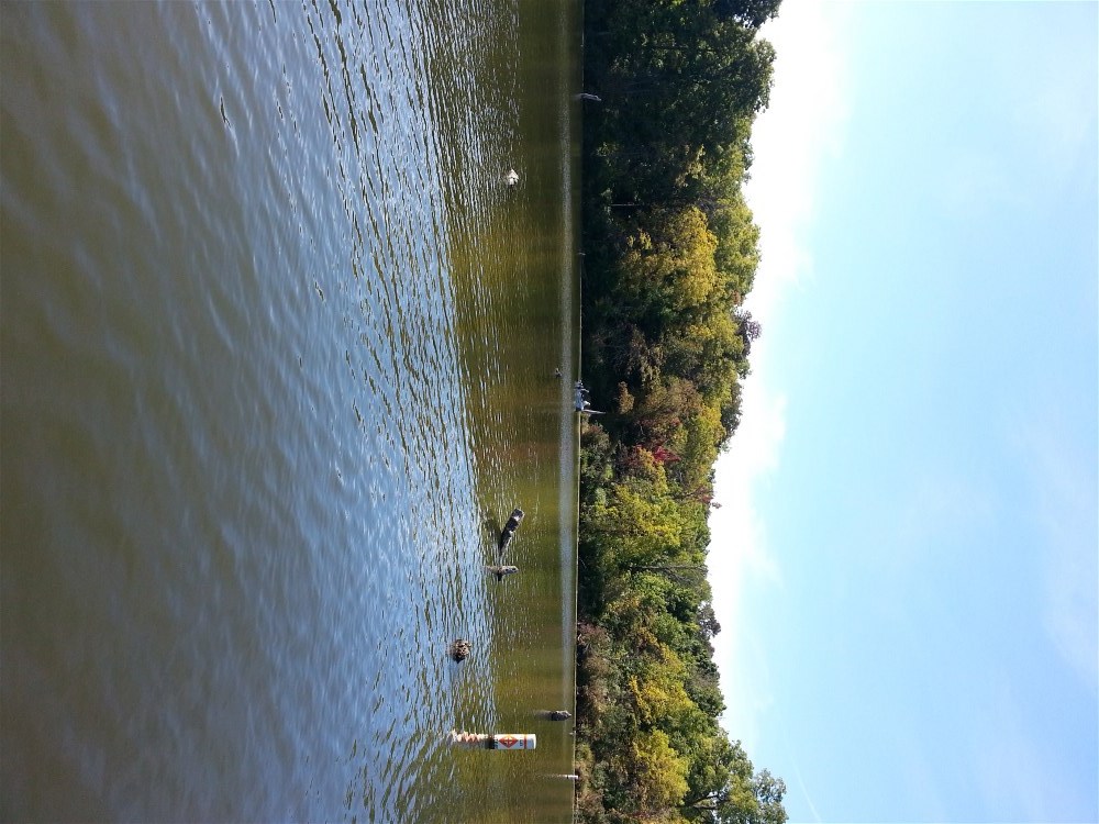 Calling All Hikers To Shabbona Lake State Park!!! Shabbona Lake State