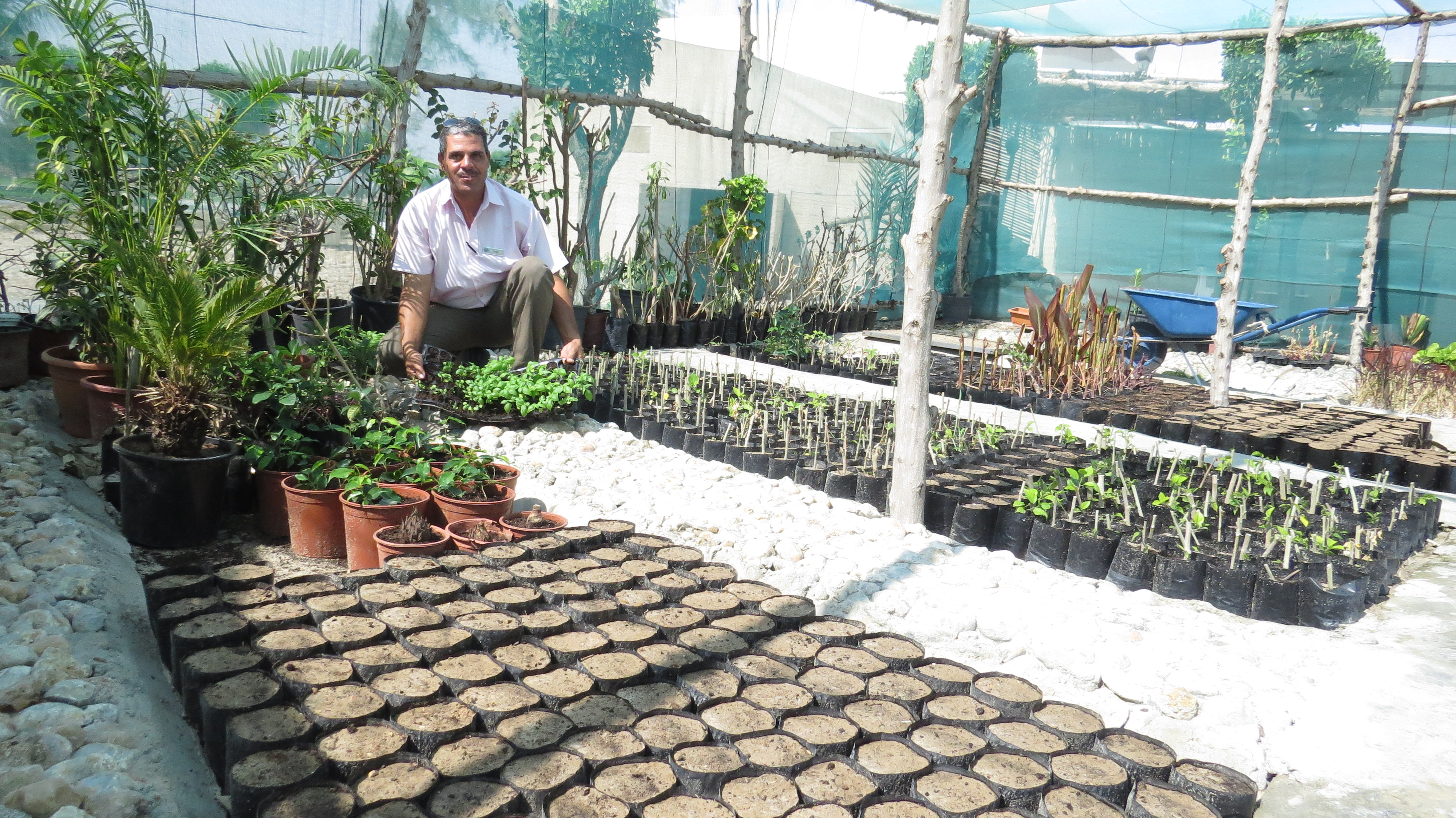 Oman environment Salalah Rotana sets up plant nursery to boost