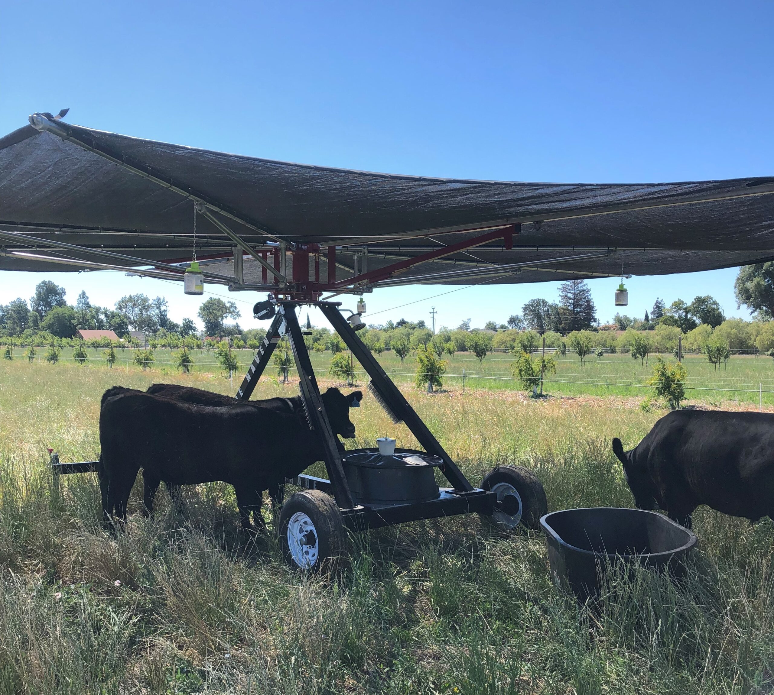Busy Little Farm Needs Shade Shade Haven