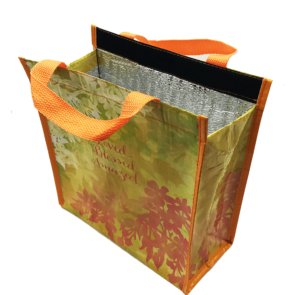 Shades of Color Loved. Blessed. Amazed. ECO Lunch Bag