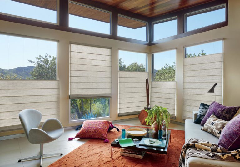 Hunter Douglas Modern Roman Shades
