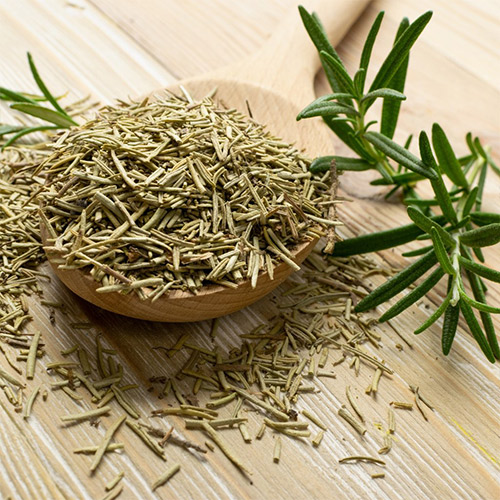 ROSEMARY Shadleen's Herb