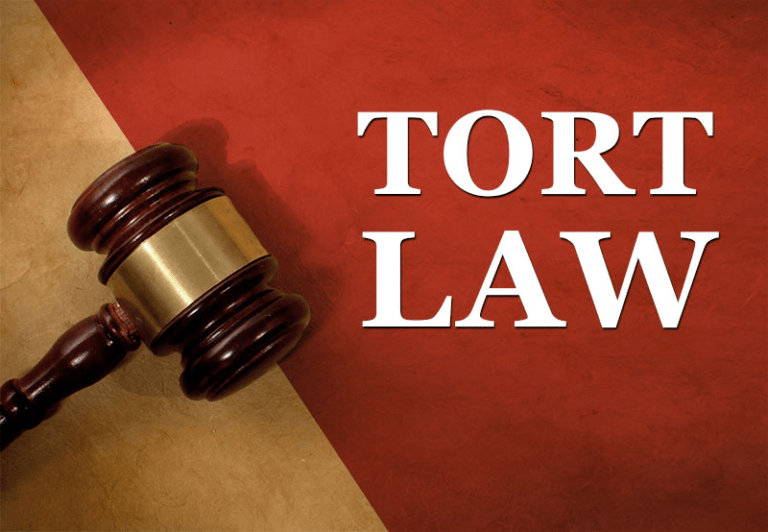 What you should know about the Tort Claims Act process shadowed mare