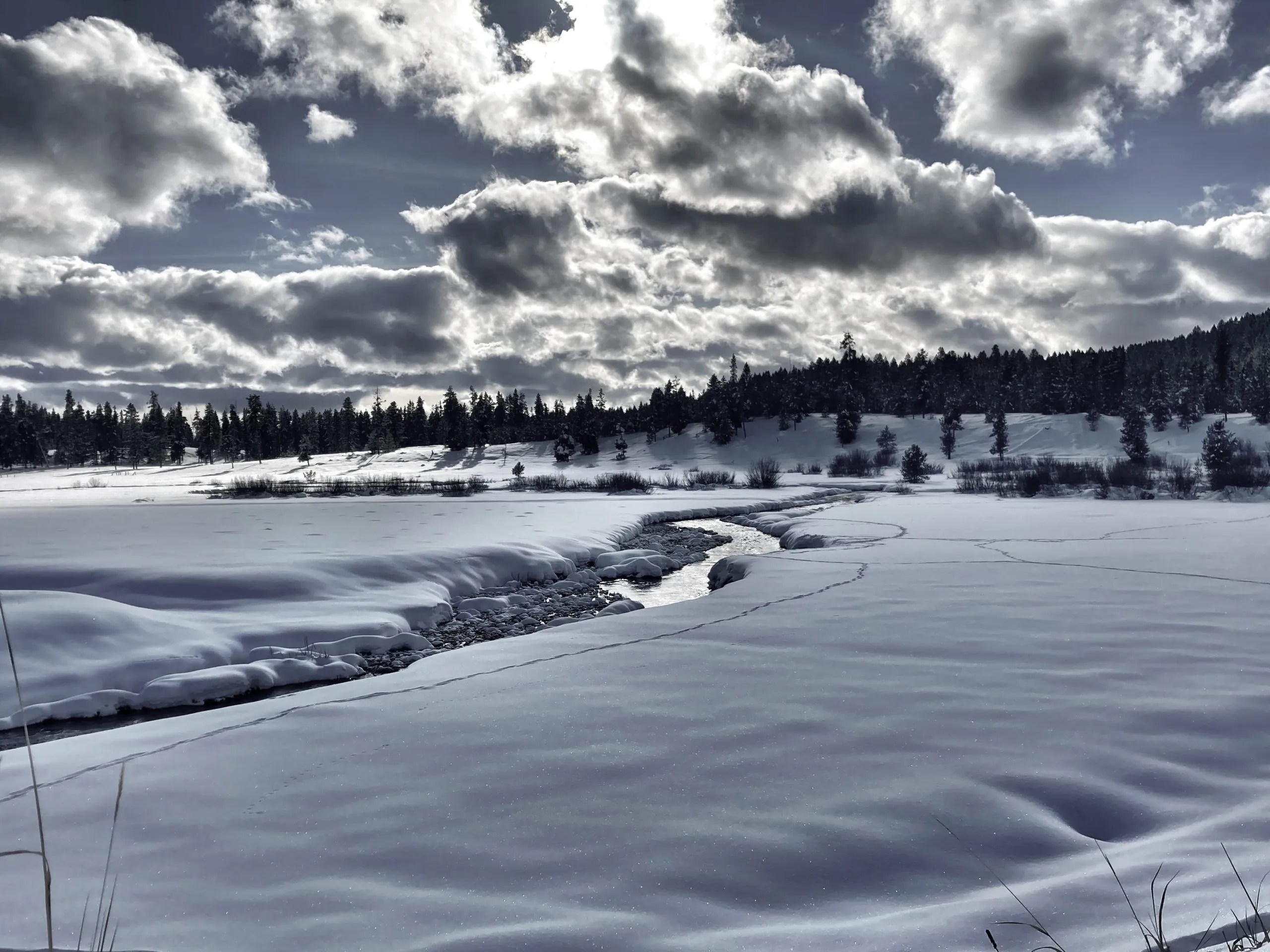 Nature Photos Shadow Ridge HOA
