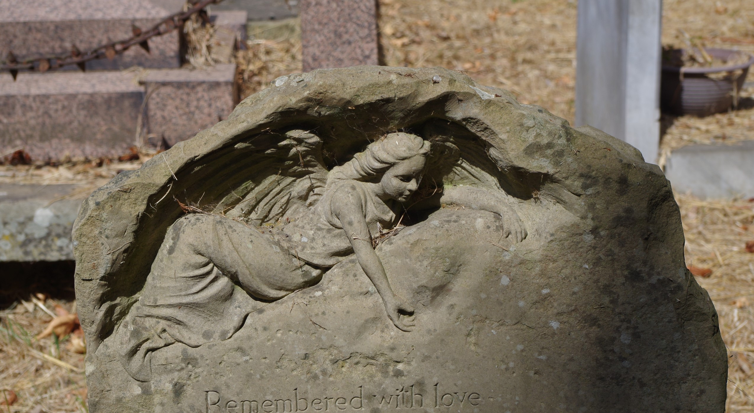 National Cemeteries Week 2023 03/06/23 11/06/23 shadows fly away