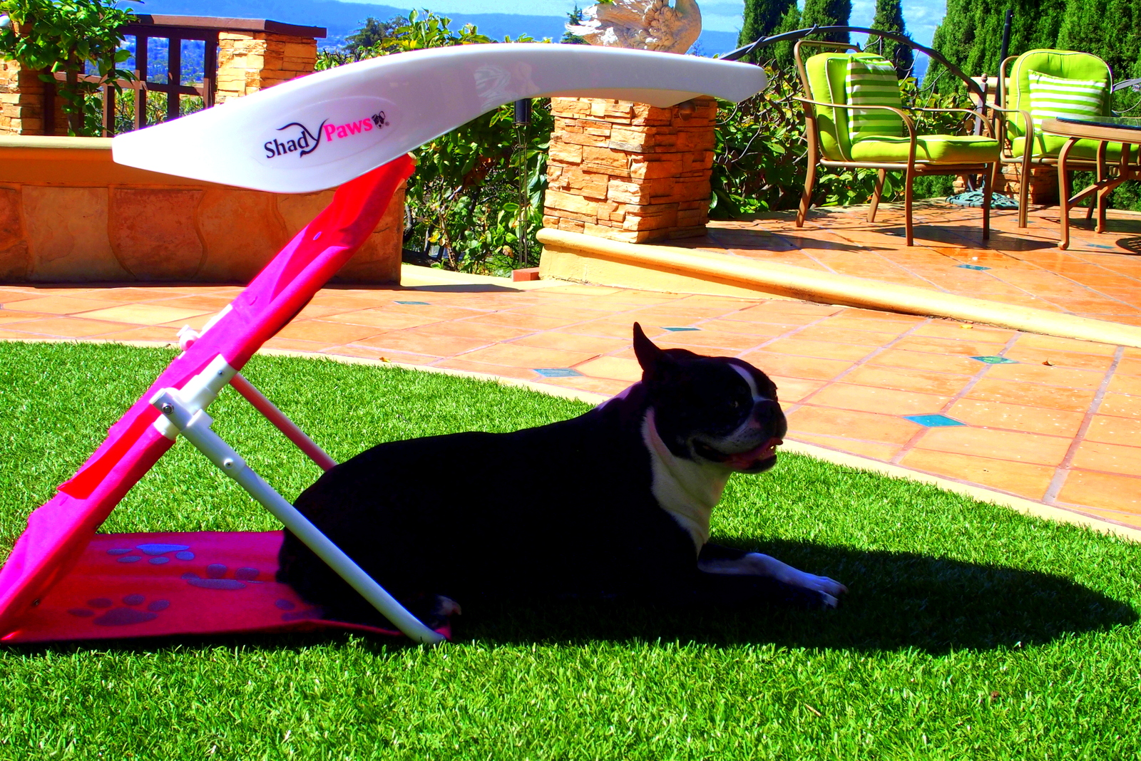 NEW SPRING COLOR ShadyPaws / Dog Shade / Portable Pet Canopy