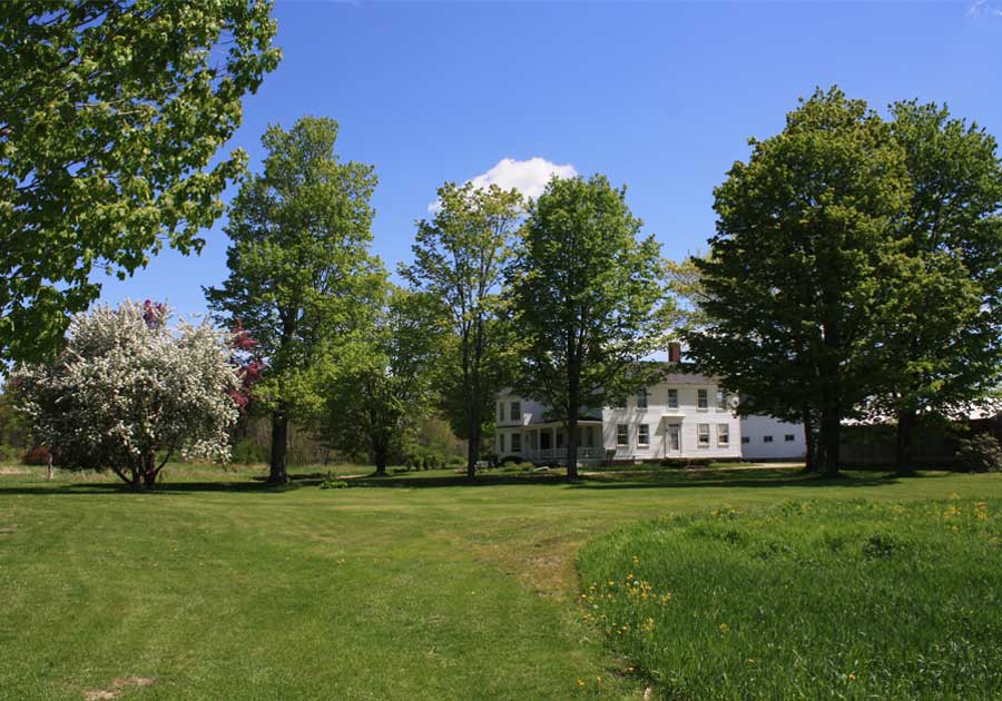 Setting Shady Lane Farm