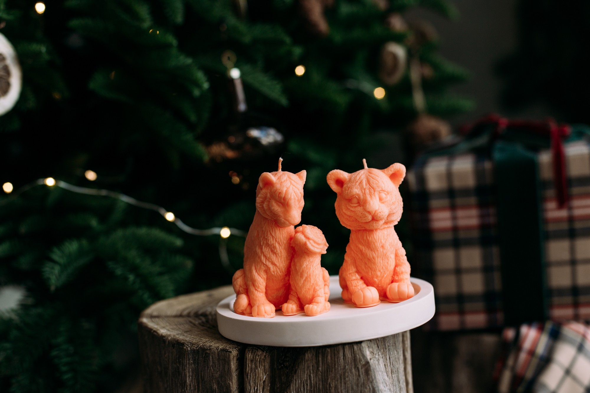 Set of soy candles tigers