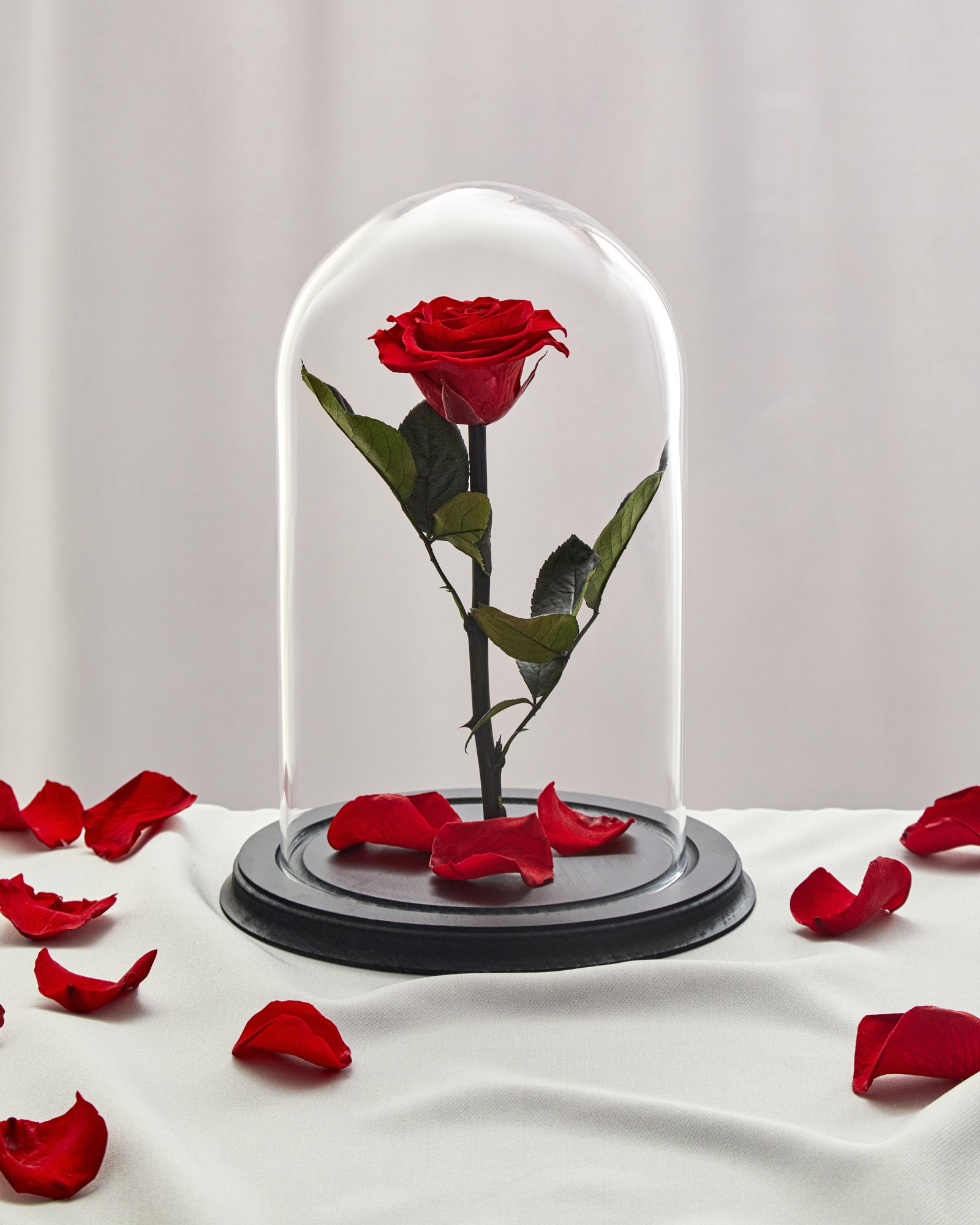 Rose in glass dome 26399 from Floretta Flowers with donate to u24