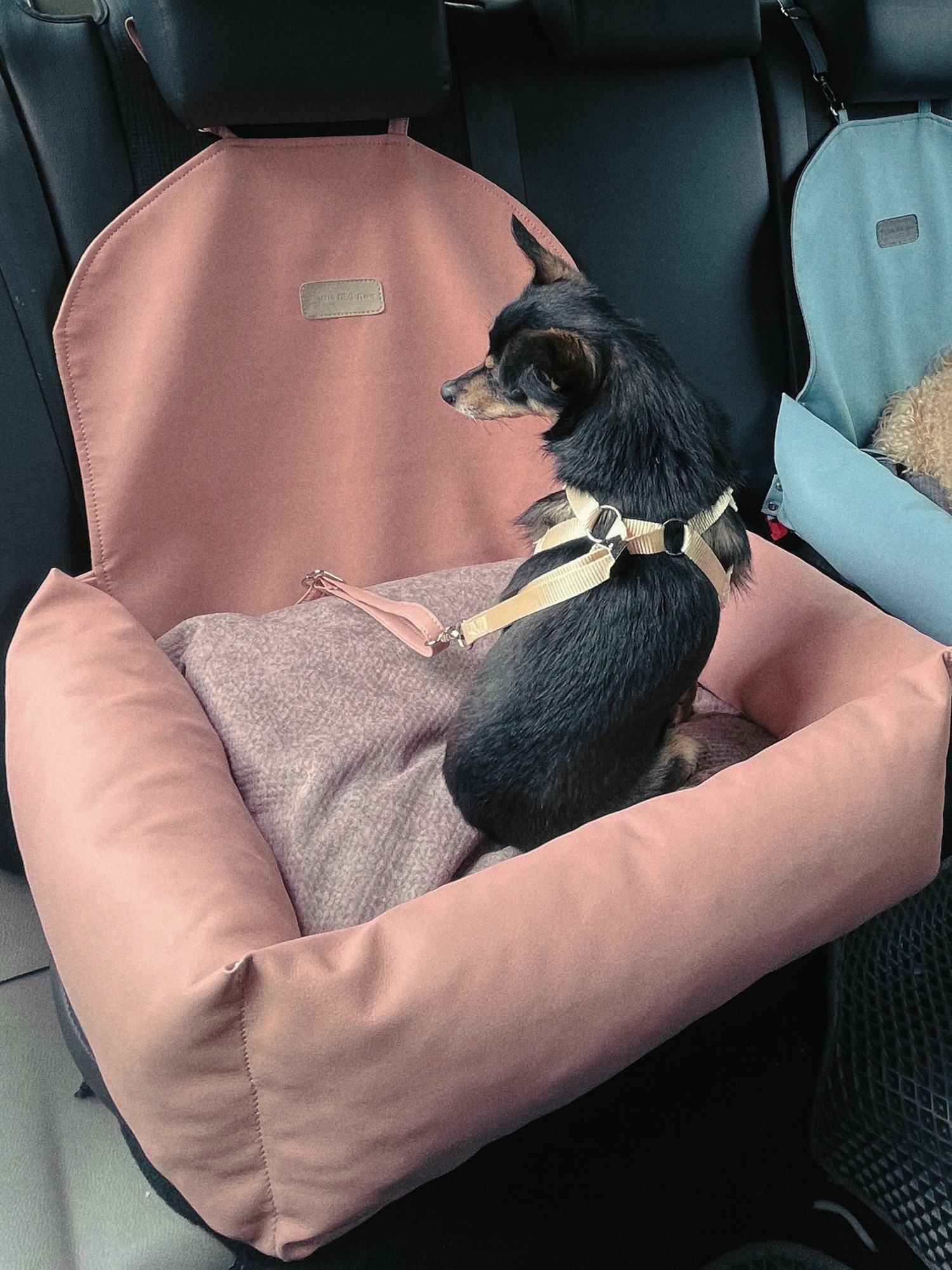 Principal 198+ imagen where to donate car seat In.thptnganamst.edu.vn