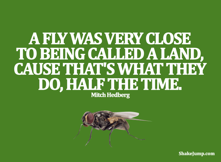 31 Wittiest Mitch Hedberg Quotes (With Images)