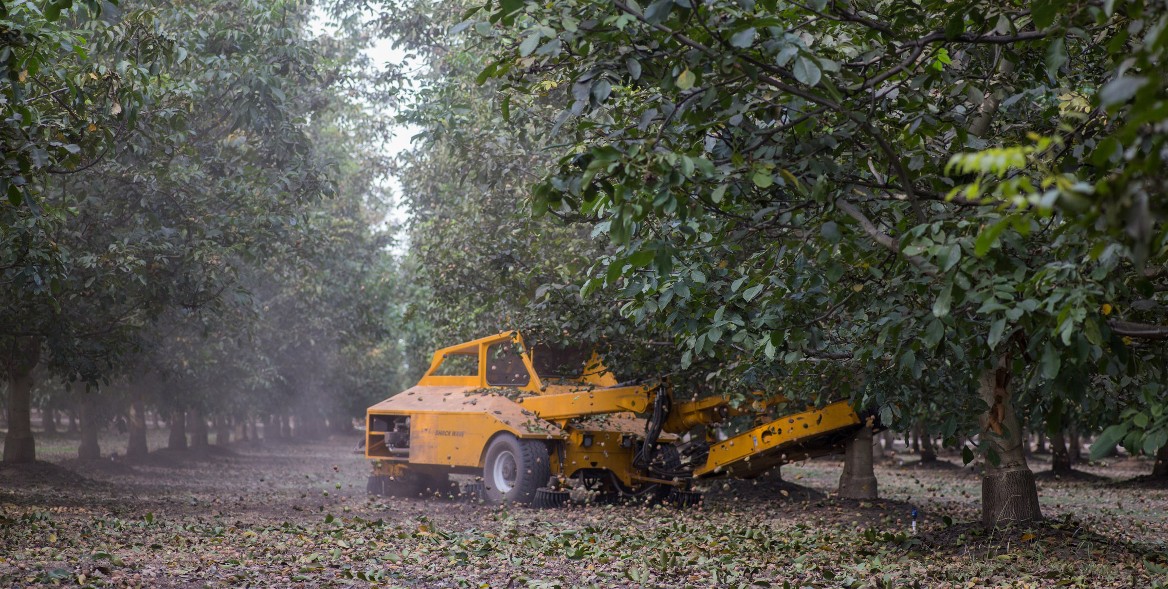 Tree Shaker Shockwave Monoboom Orchard Machinery Corporation