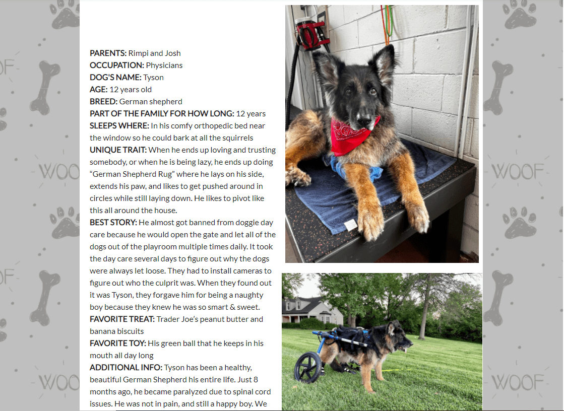 Client Spotlight Shakers Dog Wash and Grooming