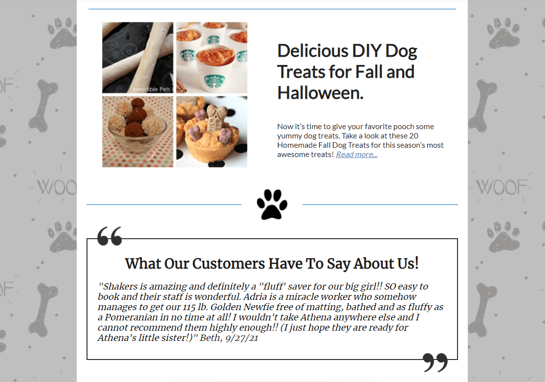 Client Spotlight Shakers Dog Wash and Grooming