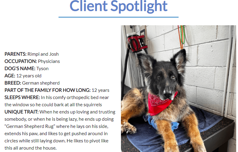 Client Spotlight Shakers Dog Wash and Grooming