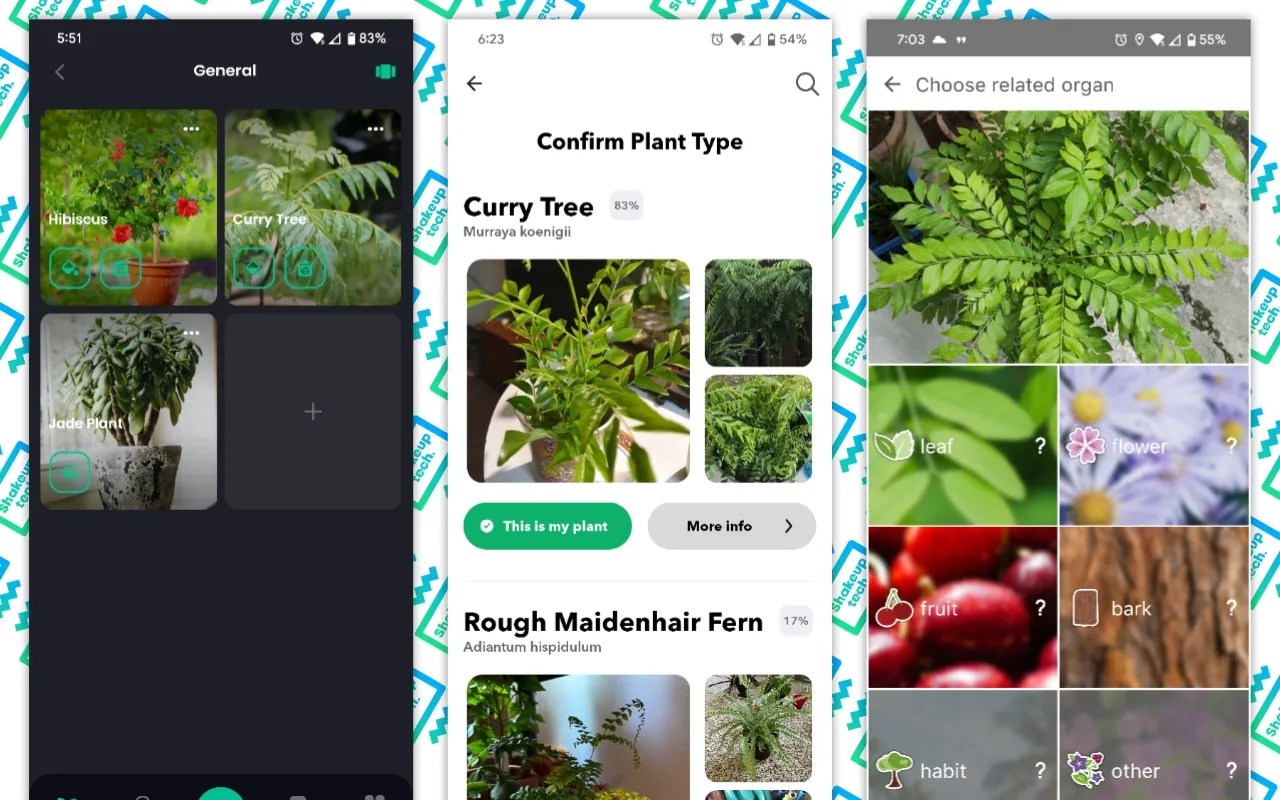 Best Plant Identification Apps for Android To Manage Plants! 2024