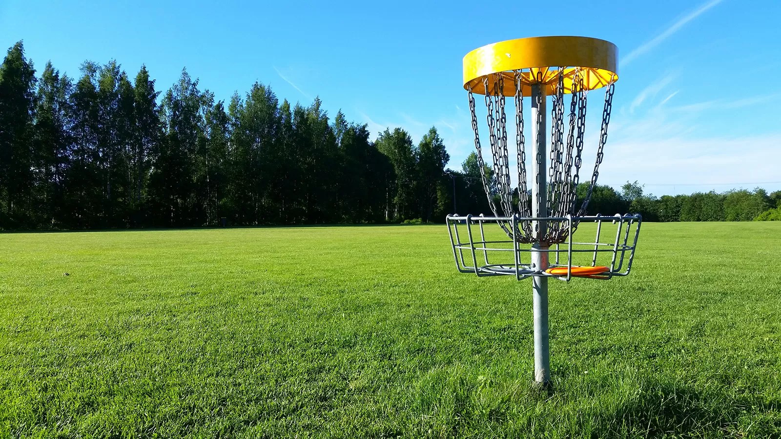 Shakopee Lions Annual Disc Golf Tournament Shakopee Chamber Of Commerce