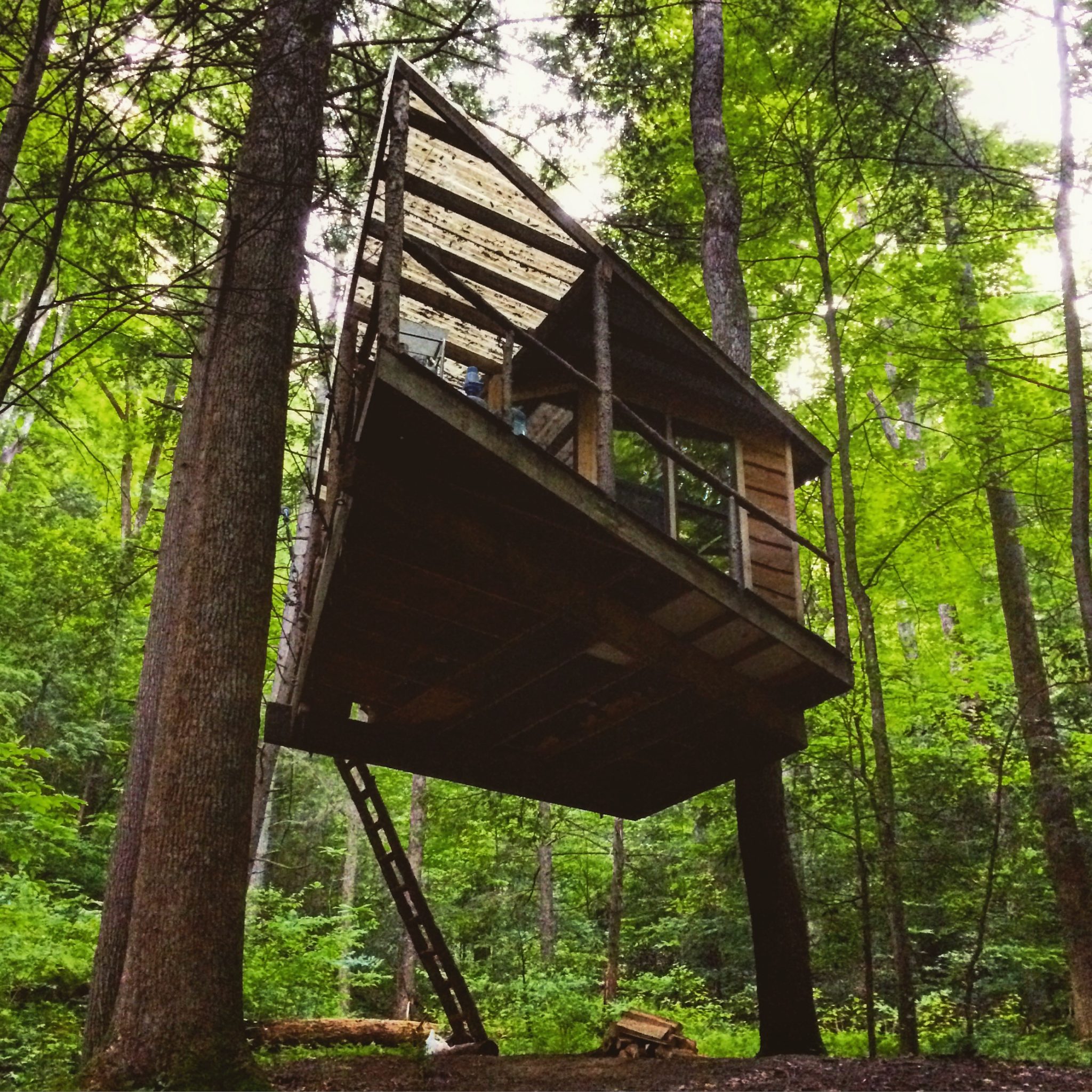 Red River Cabin Life Treehouse Edition Shalee Wanders