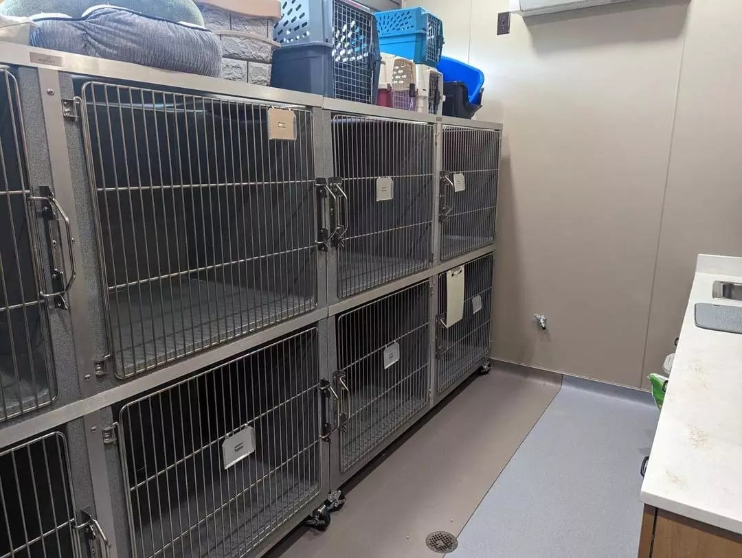 Tour Our Veterinary Clinic in Lewisville, NC Shallowford Animal Hospital