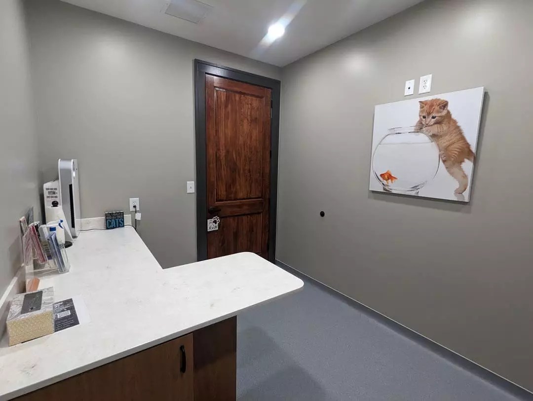 Tour Our Veterinary Clinic in Lewisville, NC Shallowford Animal Hospital